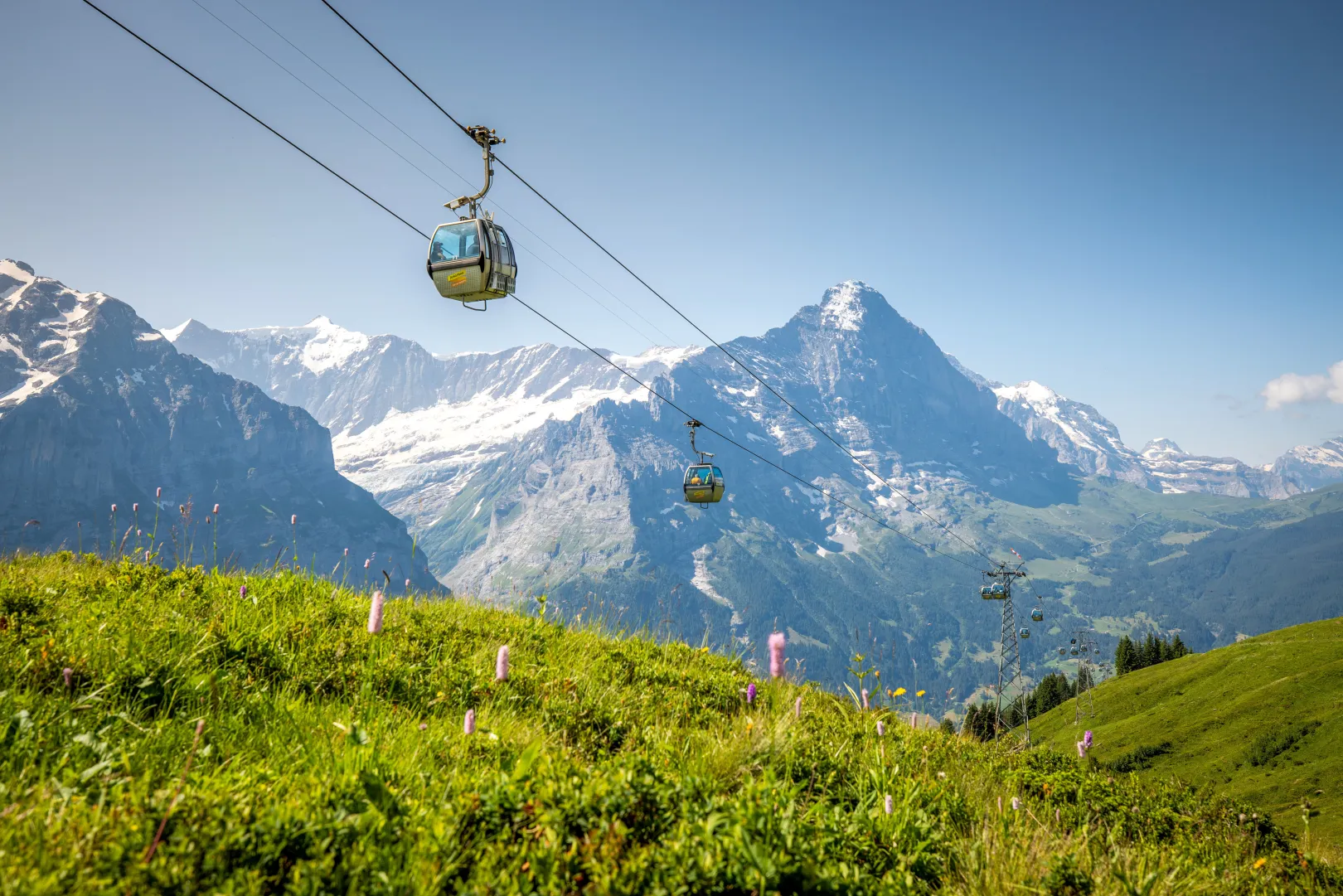 Les cabines du Firstbahn glissent au-dessus de prairies alpines verdoyantes sous un ciel dégagé, offrant une vue sur les montagnes de la région de la Jungfrau.