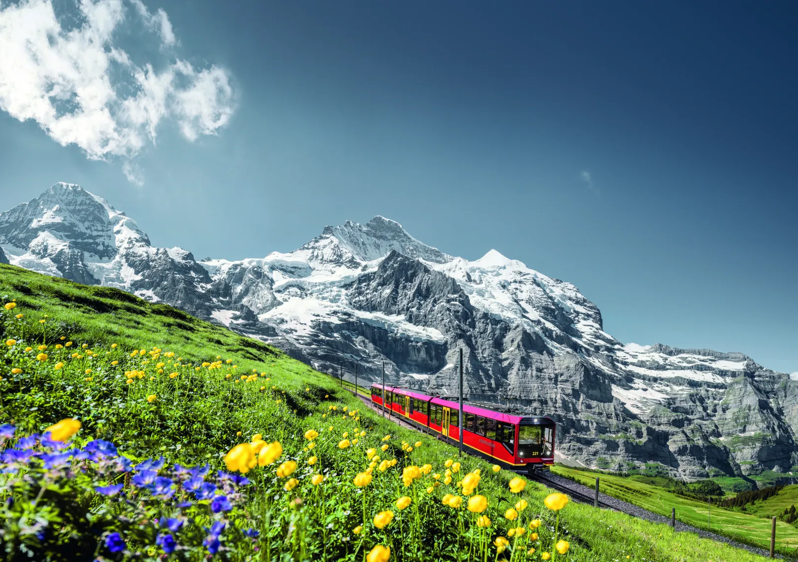 Le train à crémaillère rouge des chemins de fer de la Jungfrau traverse une prairie fleurie aux couleurs vives, avec en arrière-plan des montagnes enneigées.